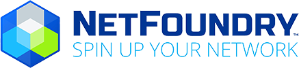 Netfoundry logo